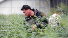 <strong>同时供给500个岗亭</strong>