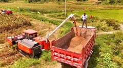 <strong>农人糊口愈加富脚</strong>